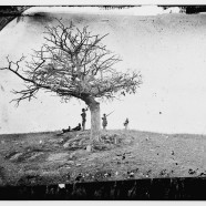 Untrod Ground: Civil War History Today