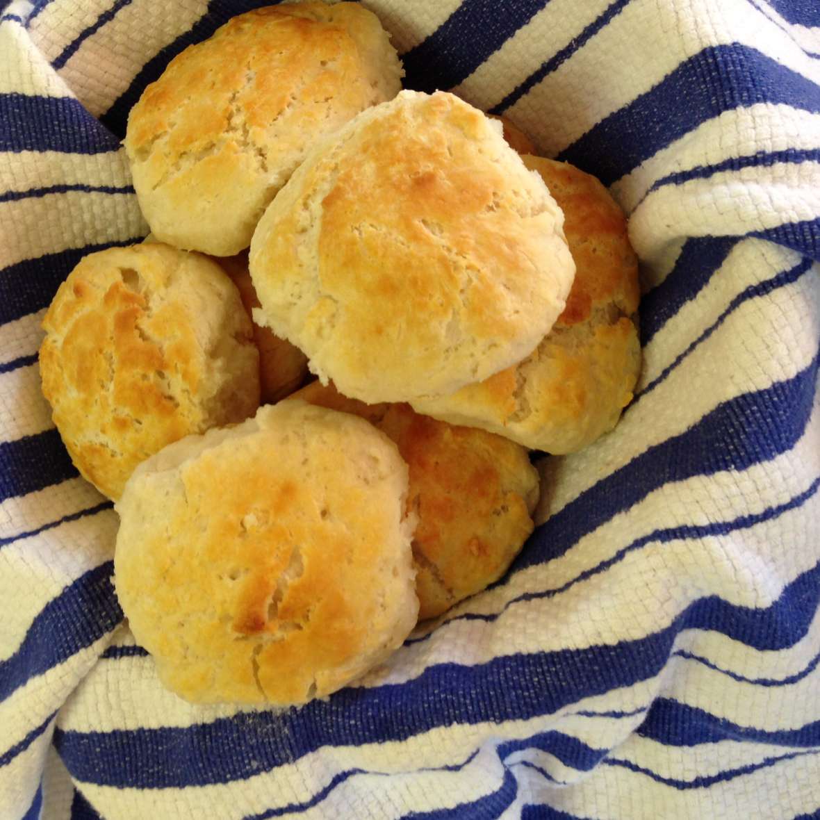 Making and Remaking Grandma’s Biscuits South Writ Large